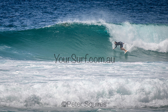Mona_Vale_220114_111110_0002