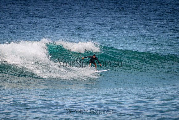 Mona_Vale_220114_113244_0046