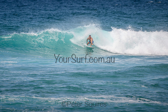 Mona_Vale_220114_114015_0081
