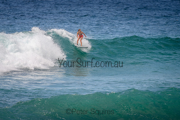 Mona_Vale_220114_114211_0085