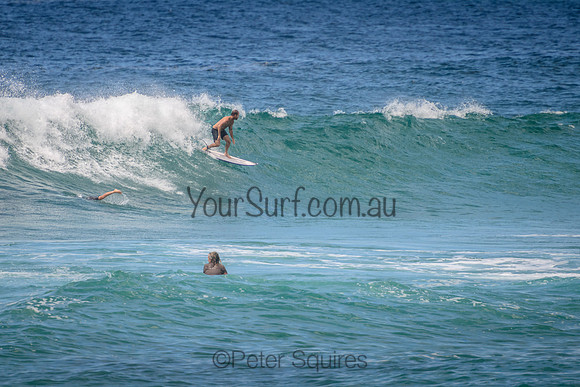 Mona_Vale_220114_114308_0092