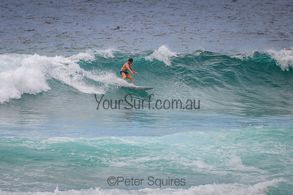 Mona_Vale_220114_115358_0116
