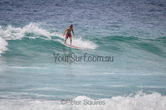 Mona_Vale_220114_120809_0160
