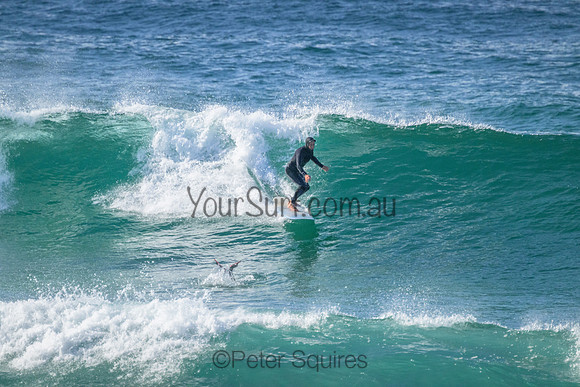 Avalon_220808_093619_0008