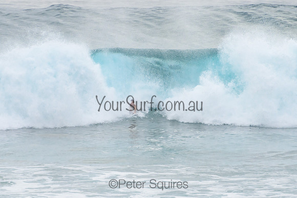 Mona_Vale_220117_071650_0074