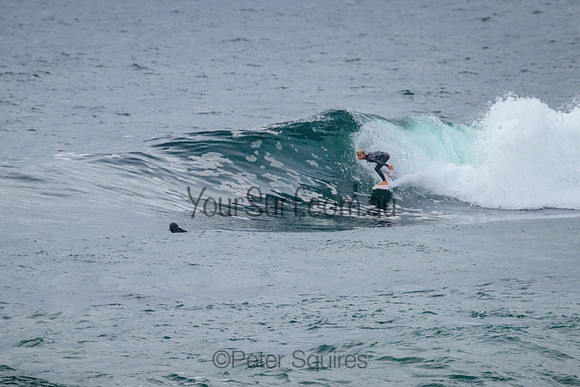 Avalon_220228_083143_0181