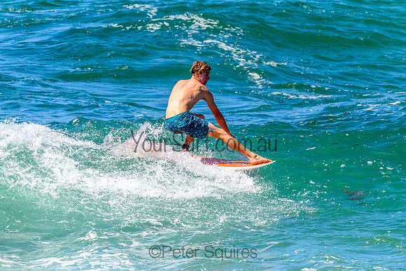 Avalon_220127_104732_0109