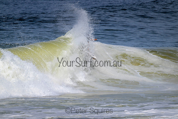 Avalon_220316_132228_0075