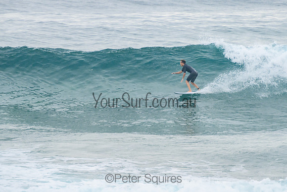 Mona_Vale_220117_072644_0108