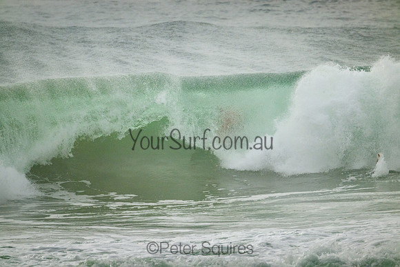 Whale_Beach_220305_081503_0094