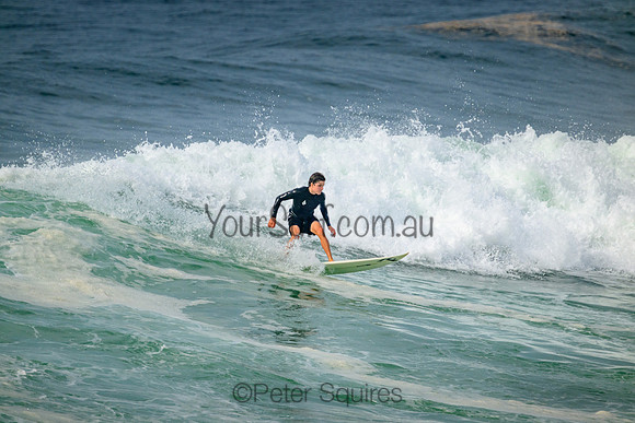 Avalon_220305_100343_0062