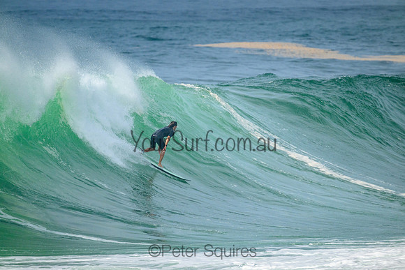 Avalon_220305_100557_0079