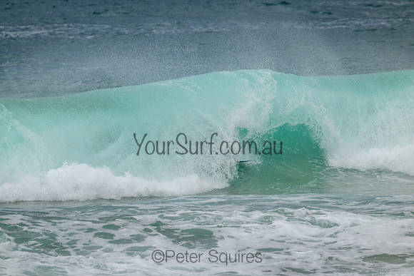 Palm_Beach_220207_150543_0083
