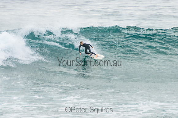 Mona_Vale_220117_073513_0131