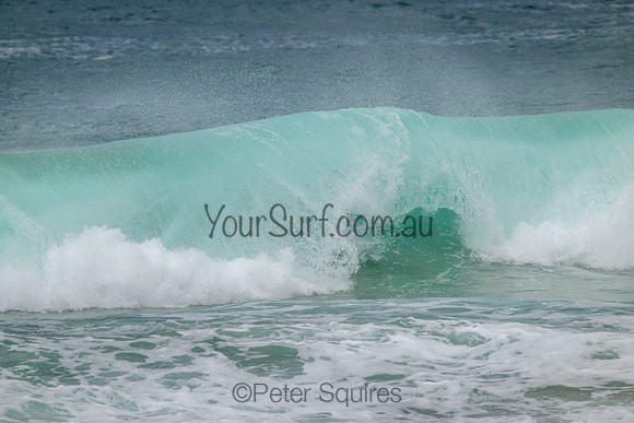 Palm_Beach_220207_150543_0084