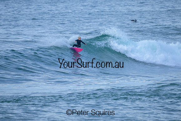 Avalon_240604_083034_0148
