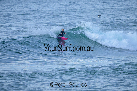 Avalon_240604_083034_0149