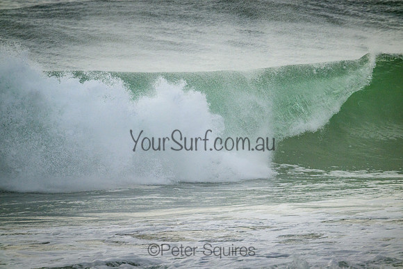 Whale_Beach_220305_081854_0137