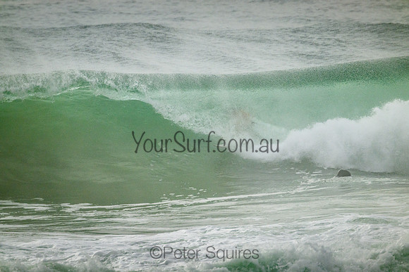 Whale_Beach_220305_081503_0091