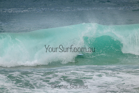 Palm_Beach_220207_150543_0081