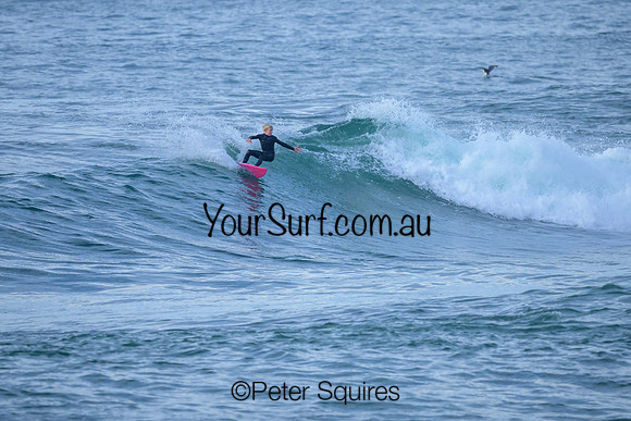 Avalon_240604_083034_0147