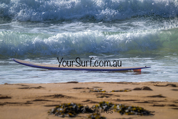 Palm_Beach_240425_083552_0687-E