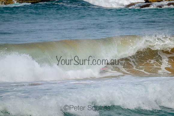 Palm_Beach_220207_154447_0210